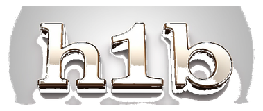 h1b logo